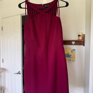 Formal Cherry Dress
